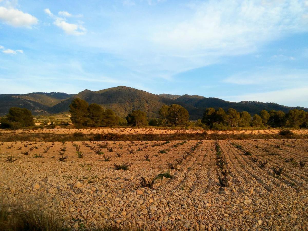Casa Rural El Carmen De La Sierra Екла Экстерьер фото