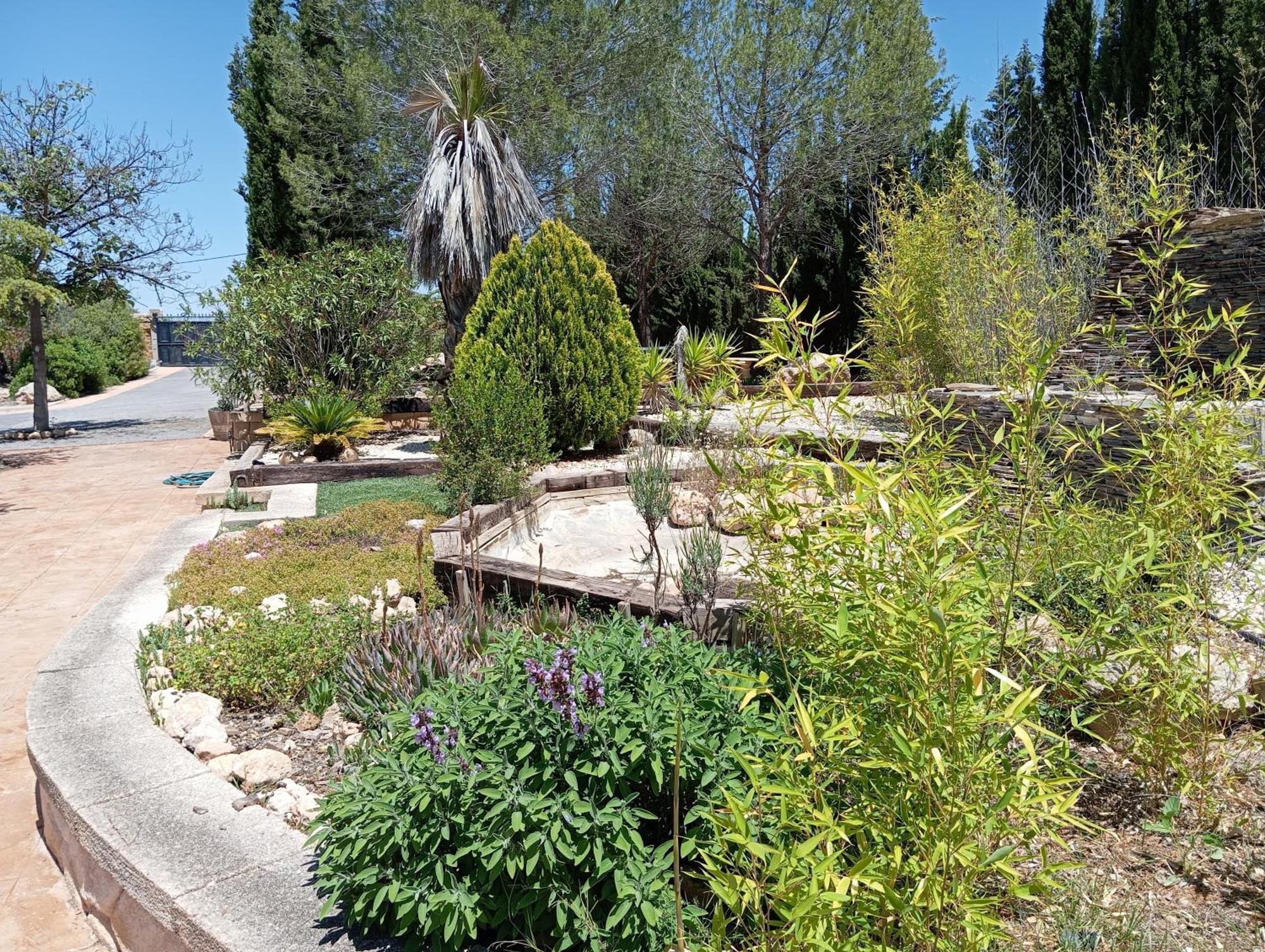 Casa Rural El Carmen De La Sierra Екла Экстерьер фото